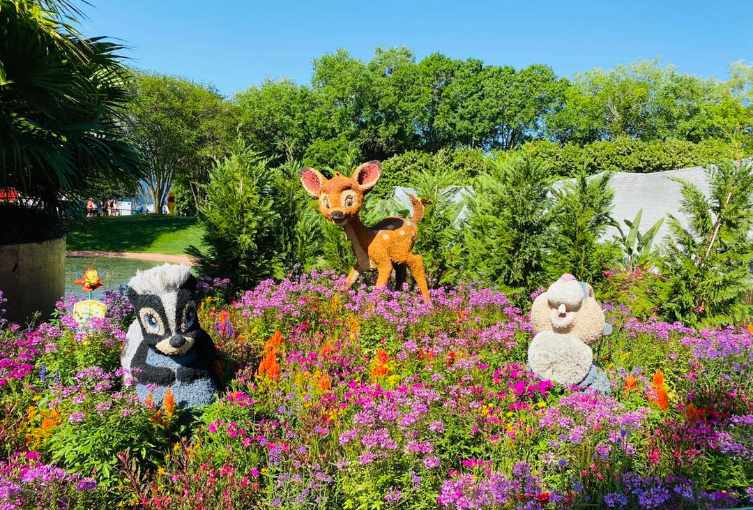 Quelle est la meilleure période de l'année pour aller au WALT DISNEY WORLD RESORT?